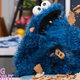 Pictures of the article entitled Cookie Monster Is The Ultimate Predator